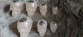 Resin Skull Set
