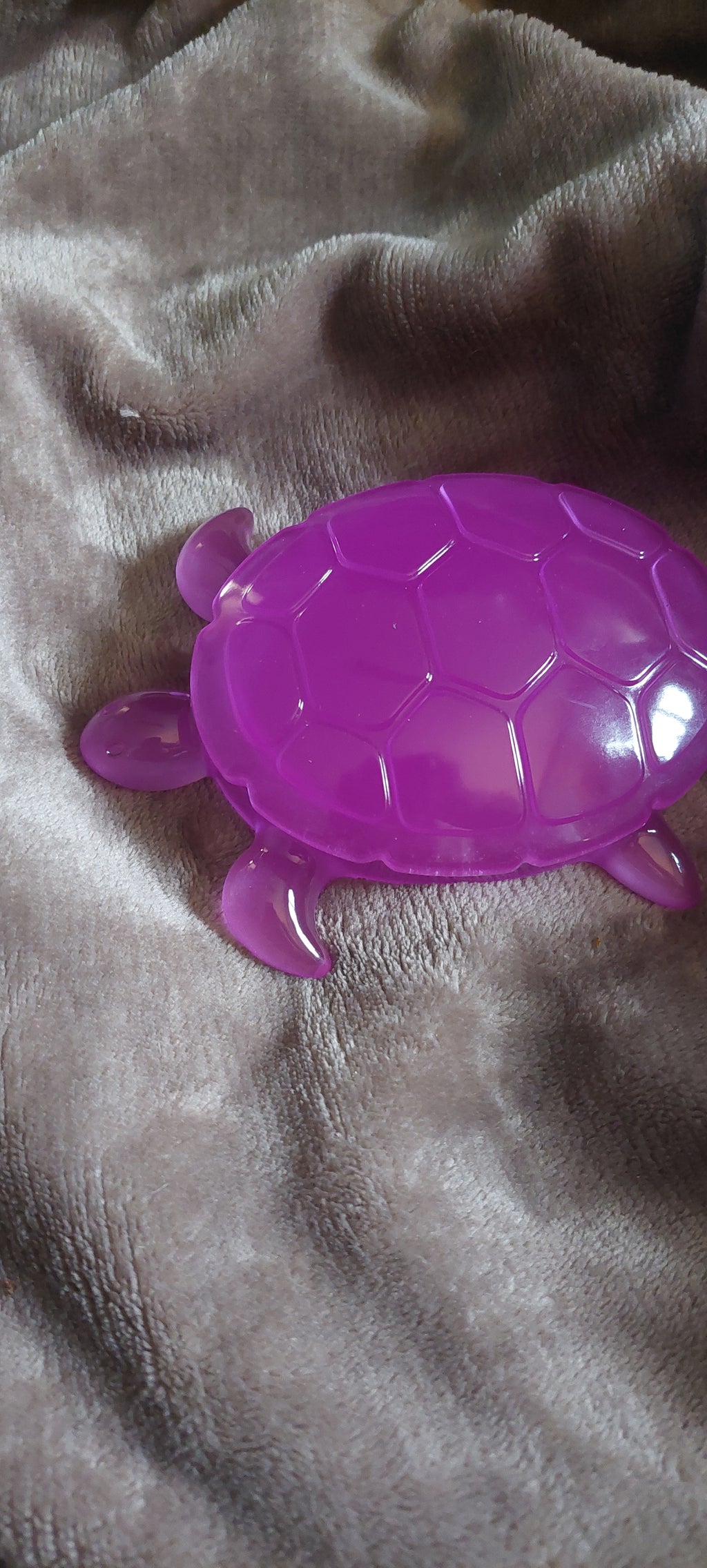 Resin Turtle Trinket Box