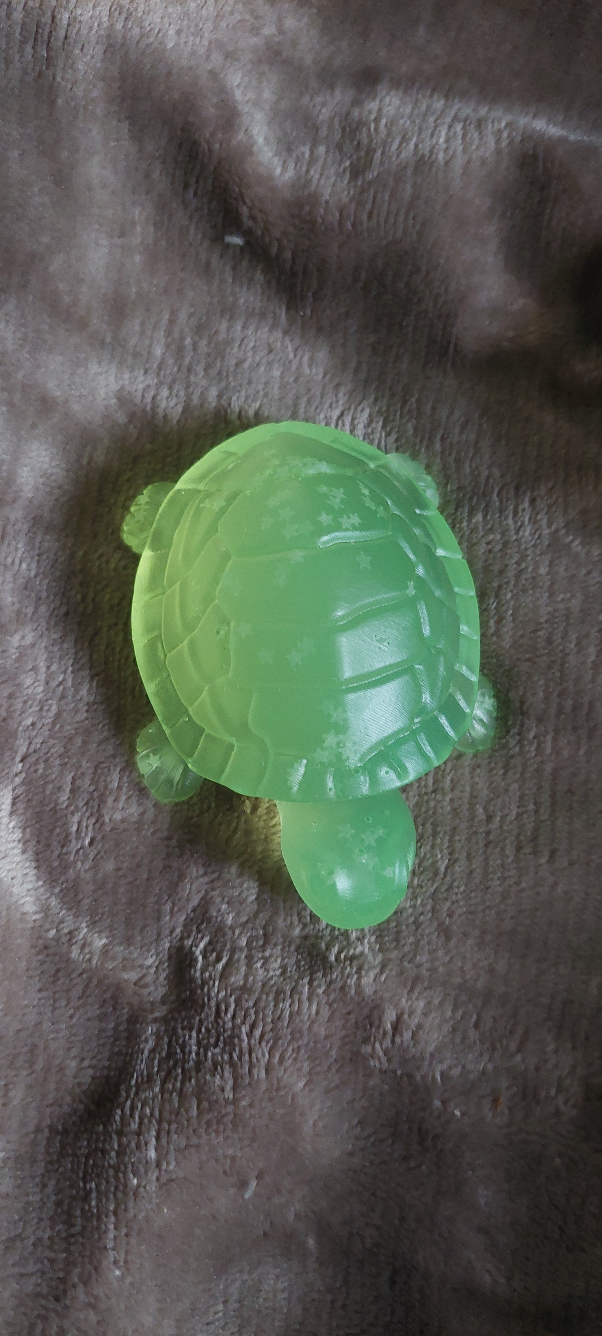 Resin Mystic Turtle